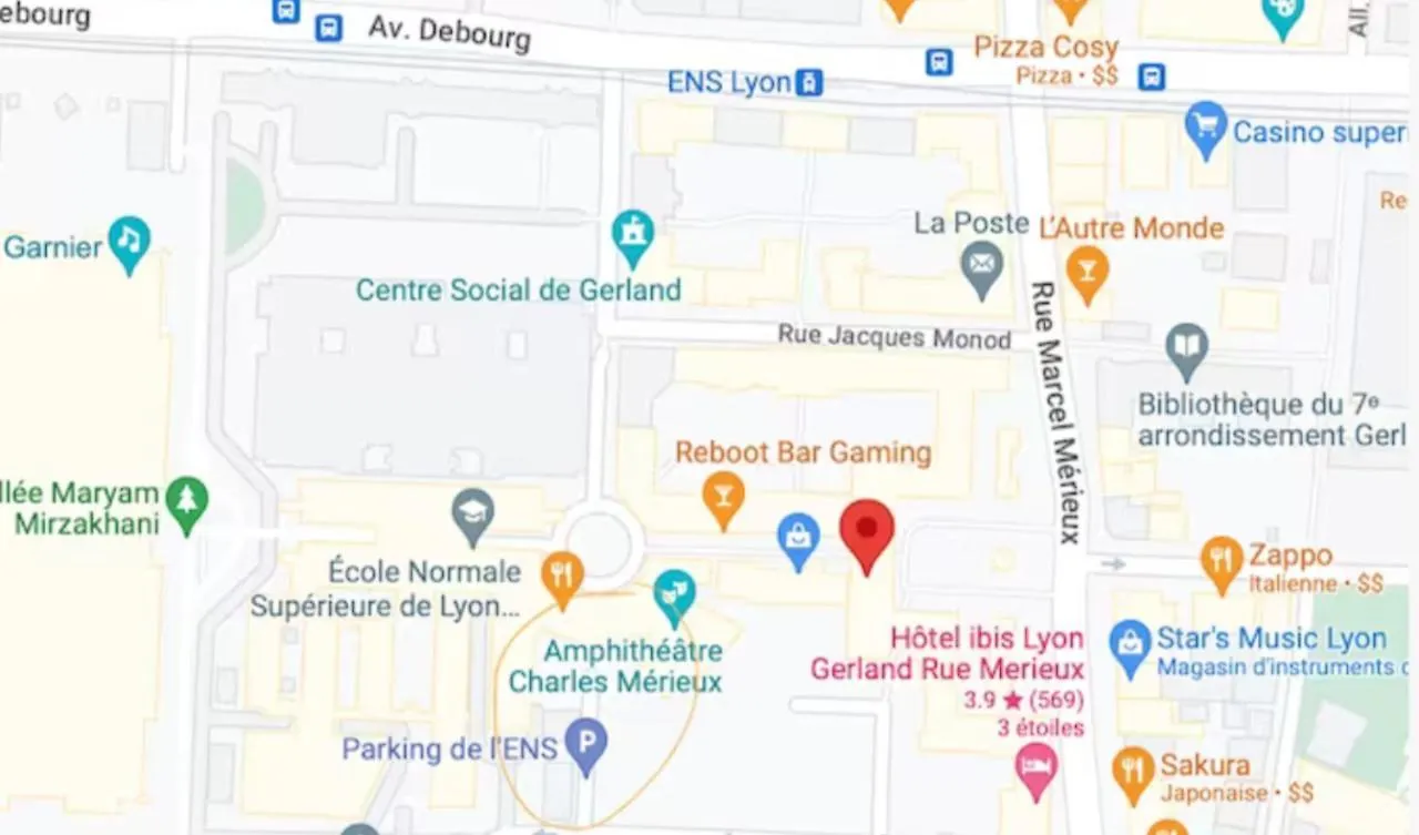Cosy Ideal Deplacement Pro Wifi Tres Haut Debit Lyon Apartment
